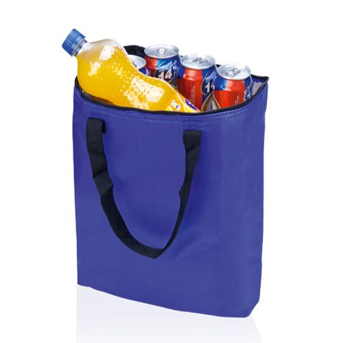 Bolsa Nevera Daniels 36 cm x 45 cm x 9 cm 