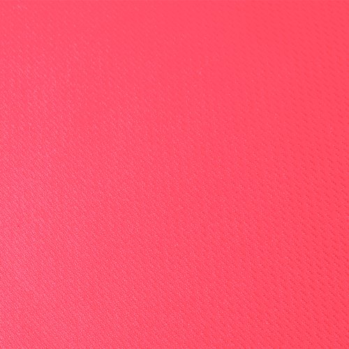 Camiseta Mujer Cocker
